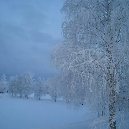 Studio Winter Sports Center Loma-asunnot Rovaniemi